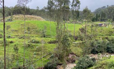 TERRENO EN VENTA, SECTOR CHIQUINTAD, 14000 MTS.