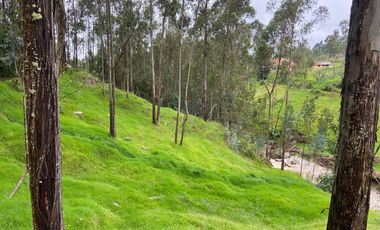 TERRENO EN VENTA, SECTOR CHIQUINTAD, 14000 MTS.