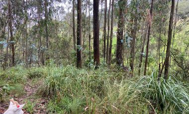 TERRENO EN VENTA, SECTOR CHIQUINTAD, 14000 MTS.