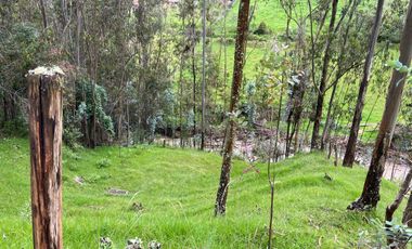 TERRENO EN VENTA, SECTOR CHIQUINTAD, 14000 MTS.