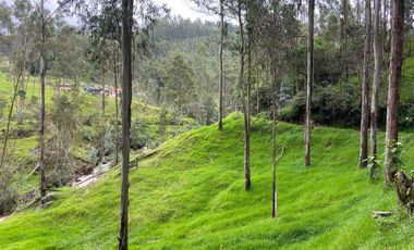 TERRENO EN VENTA, SECTOR CHIQUINTAD, 14000 MTS.