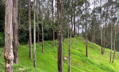 TERRENO EN VENTA, SECTOR CHIQUINTAD, 14000 MTS.