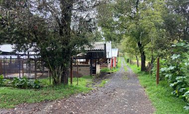 TERRENO EN VENTA, SECTOR CHIQUINTAD, 14000 MTS.