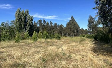 Parcela de 1,5 Hec. Arboles Frutales