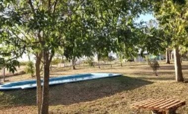 Departamento en venta - 1 Dormitorio 1 Baño - Berisso