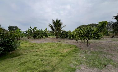 Venta de Terreno Urbano en Chone