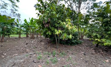 Venta de Terreno Urbano en Chone