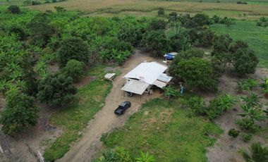 Venta de Terreno Urbano en Chone