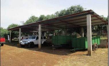 Huerta de aguacates + cabaña en Peribán, Michoacán