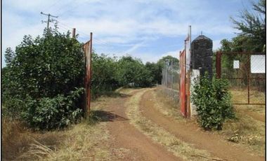 Huerta de aguacates + cabaña en Peribán, Michoacán
