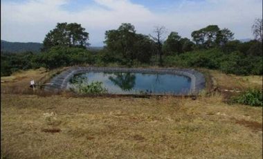 Huerta de aguacates + cabaña en Peribán, Michoacán