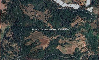 Huerta de aguacates + cabaña en Peribán, Michoacán