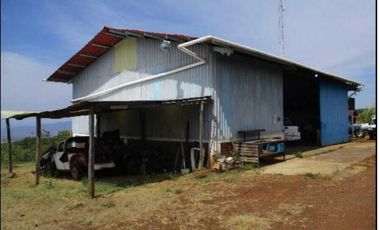 Huerta de aguacates + cabaña en Peribán, Michoacán
