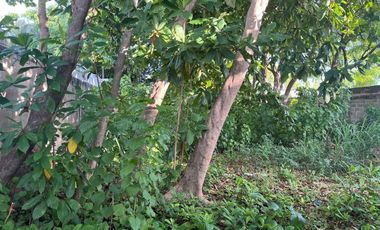 TERRENO EN VENTA EN CIUDAD DEL CARMEN CAMPECHE