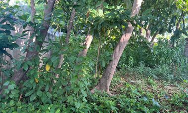 TERRENO EN VENTA EN CIUDAD DEL CARMEN CAMPECHE