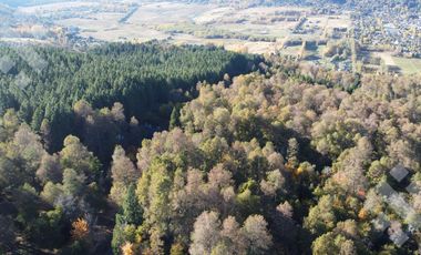 VENTA ESTANCIA DE 13Ha - CAMINO A LOLOG - SAN MARTIN DE LOS ANDES