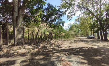 Se Vende Finca de 16 Has en Monte Oscuro La Chorrera (DR)