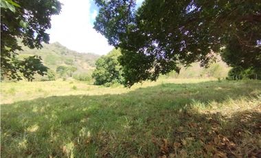 Se Vende Finca de 16 Has en Monte Oscuro La Chorrera (DR)