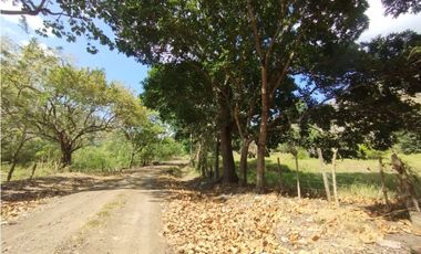 Se Vende Finca de 16 Has en Monte Oscuro La Chorrera (DR)