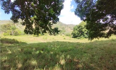 Se Vende Finca de 16 Has en Monte Oscuro La Chorrera (DR)