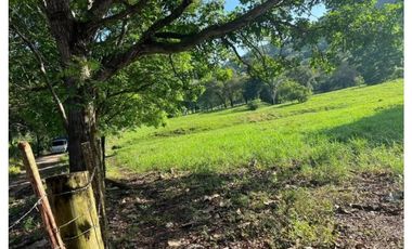 Se Vende Finca de 16 Has en Monte Oscuro La Chorrera (DR)