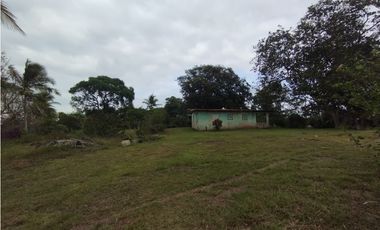 Se Vende Finca de 28.290m2 en Cerro Cama La Chorrera (DR)