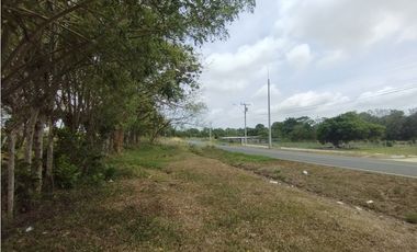 Se Vende Finca de 16 Has en Llanito Verde La Chorrera (DR)