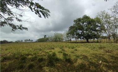 Se Vende Finca de 16 Has en Llanito Verde La Chorrera (DR)