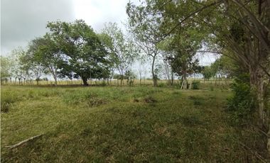 Se Vende Finca de 16 Has en Llanito Verde La Chorrera (DR)