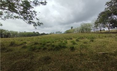 Se Vende Finca de 16 Has en Llanito Verde La Chorrera (DR)