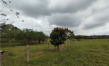 Se Vende Finca de 16 Has en Llanito Verde La Chorrera (DR)