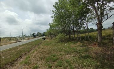 Se Vende Finca de 16 Has en Llanito Verde La Chorrera (DR)