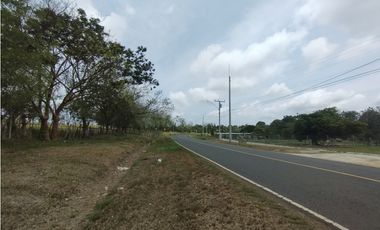 Se Vende Finca de 16 Has en Llanito Verde La Chorrera (DR)