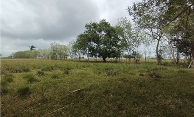 Se Vende Finca de 16 Has en Llanito Verde La Chorrera (DR)