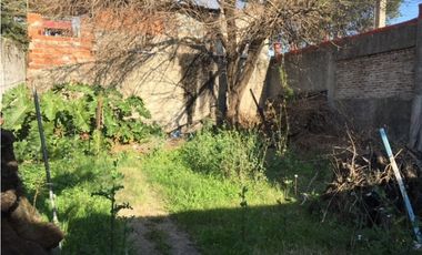 RAMON FALCON 5960 e/Bruselas y Lisboa