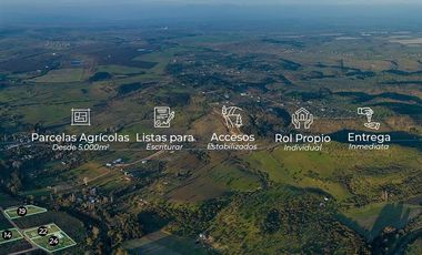 Sitio en Venta en La Estrella