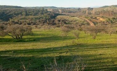 Sitio en Venta en La Estrella