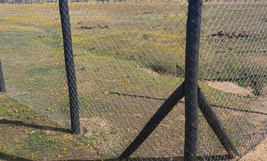 Parcela en Venta en CERCA DE EMBALSE MALLERMO EN LOCALIDAD DE MARCHIGUE