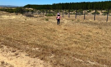 Parcela en Venta en CERCA DE EMBALSE MALLERMO EN LOCALIDAD DE MARCHIGUE