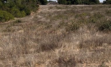 Parcela en Venta en FUNDO PUERTECILLO