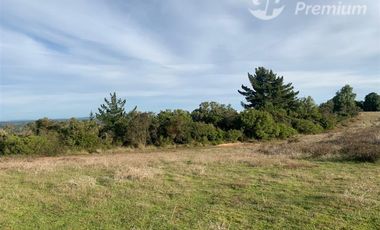 Parcela en Venta en FUNDO PUERTECILLO