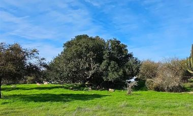 Parcela en Venta en H-20