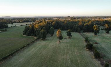 Parcela en Venta en T-835