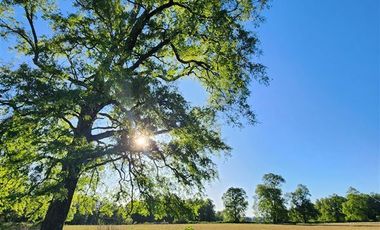 Parcela en Venta en T-835