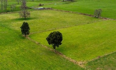 Parcela en Venta en T-835