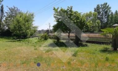 Agrícola en Venta en Río Teno/ J-25/ Río El Manzano