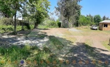 Agrícola en Venta en Río Teno/ J-25/ Río El Manzano