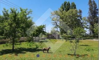 Agrícola en Venta en Río Teno/ J-25/ Río El Manzano