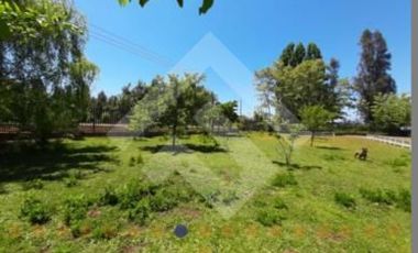 Agrícola en Venta en Río Teno/ J-25/ Río El Manzano