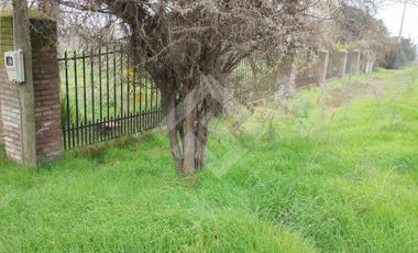 Agrícola en Venta en Río Teno/ J-25/ Río El Manzano